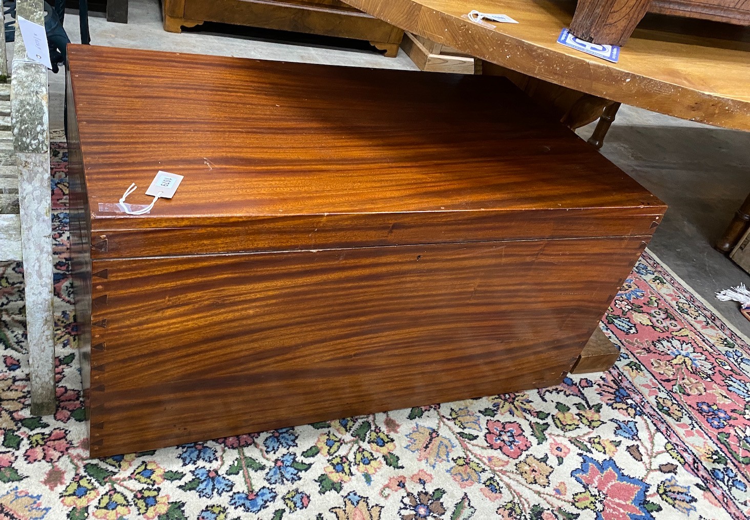 A camphorwood trunk, width 102cm